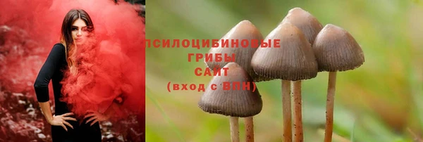 трава Краснотурьинск